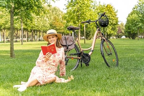Licorne Bike Premium Alu — Ansicht 4