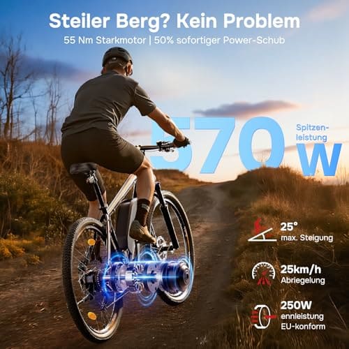 Eleglide E-Bike 27,5 Zoll — Ansicht 3