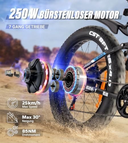 VARUN E-Fatbike — Ansicht 2