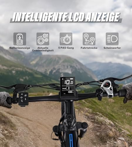 VARUN E-Fatbike — Ansicht 4