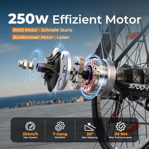 VARUN E-Bike 28 Zoll — Ansicht 2