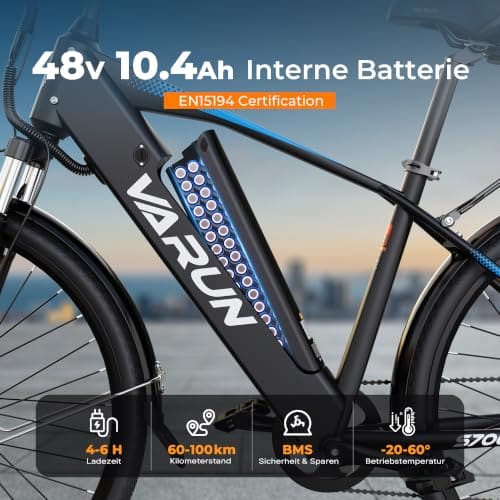 VARUN E-Bike 28 Zoll — Ansicht 3